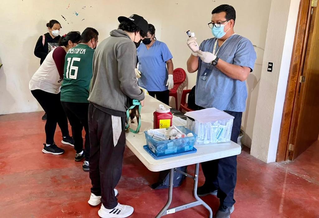 Concluye en Tlaxcala Capital jornada de esterilización canina y felina